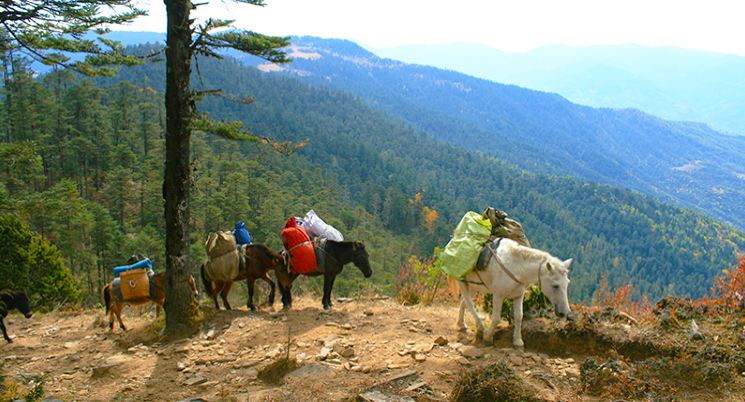 bumdra trek