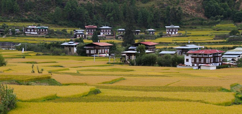 the-bhutanese-west5aaf4c9e6041b_850_400